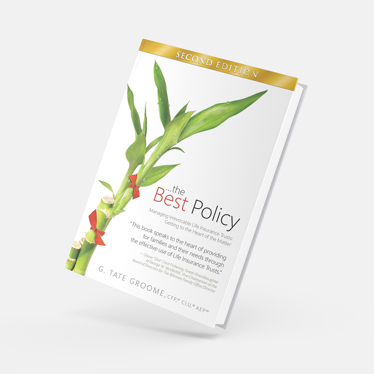 The Best Policy Book Download